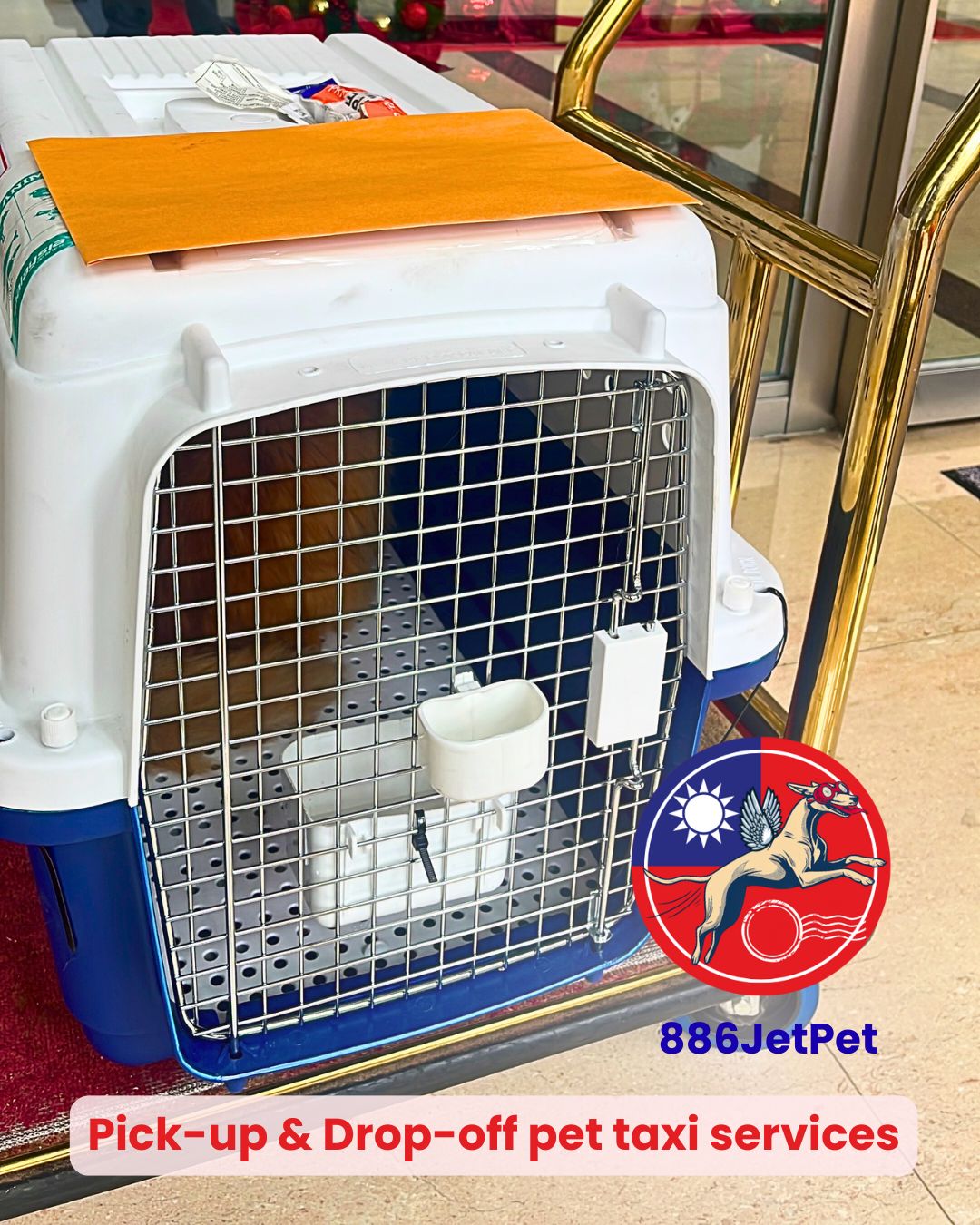 IATA-compliant pet travel crate ready for pick-up and drop-off